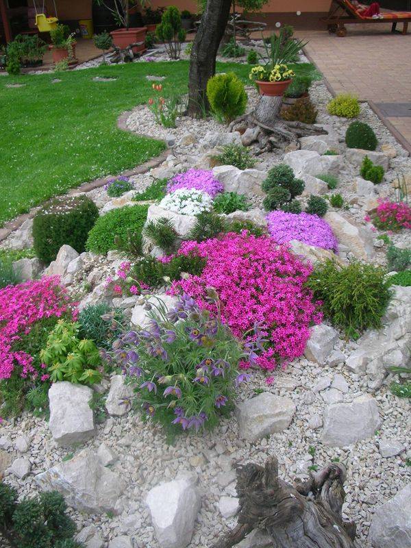 Blooming Rock Garden Design Ideas