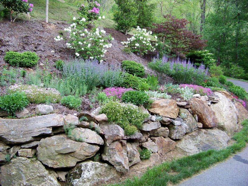 Hillside Landscaping Pictures