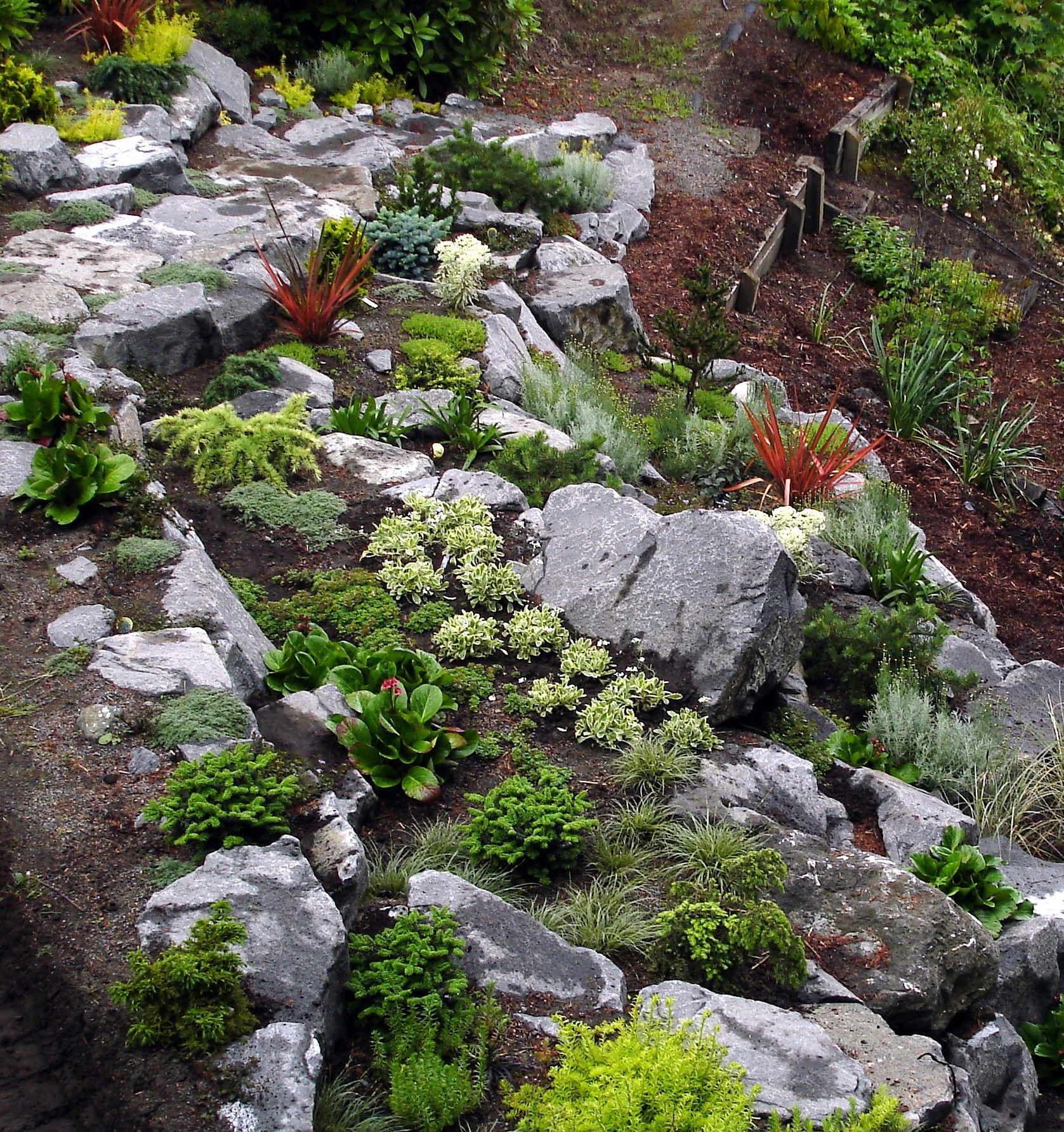 Steep Hillside Landscaping