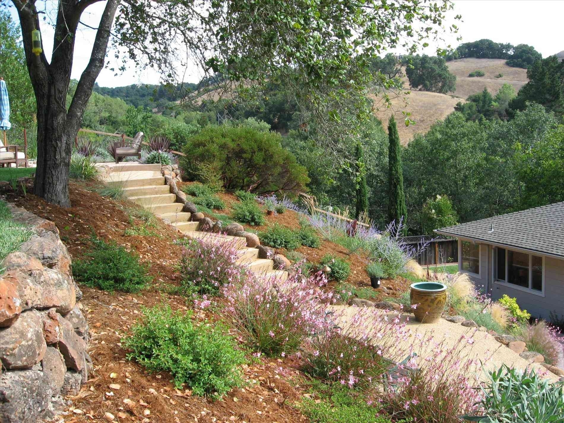 Sloped Rock Garden Design