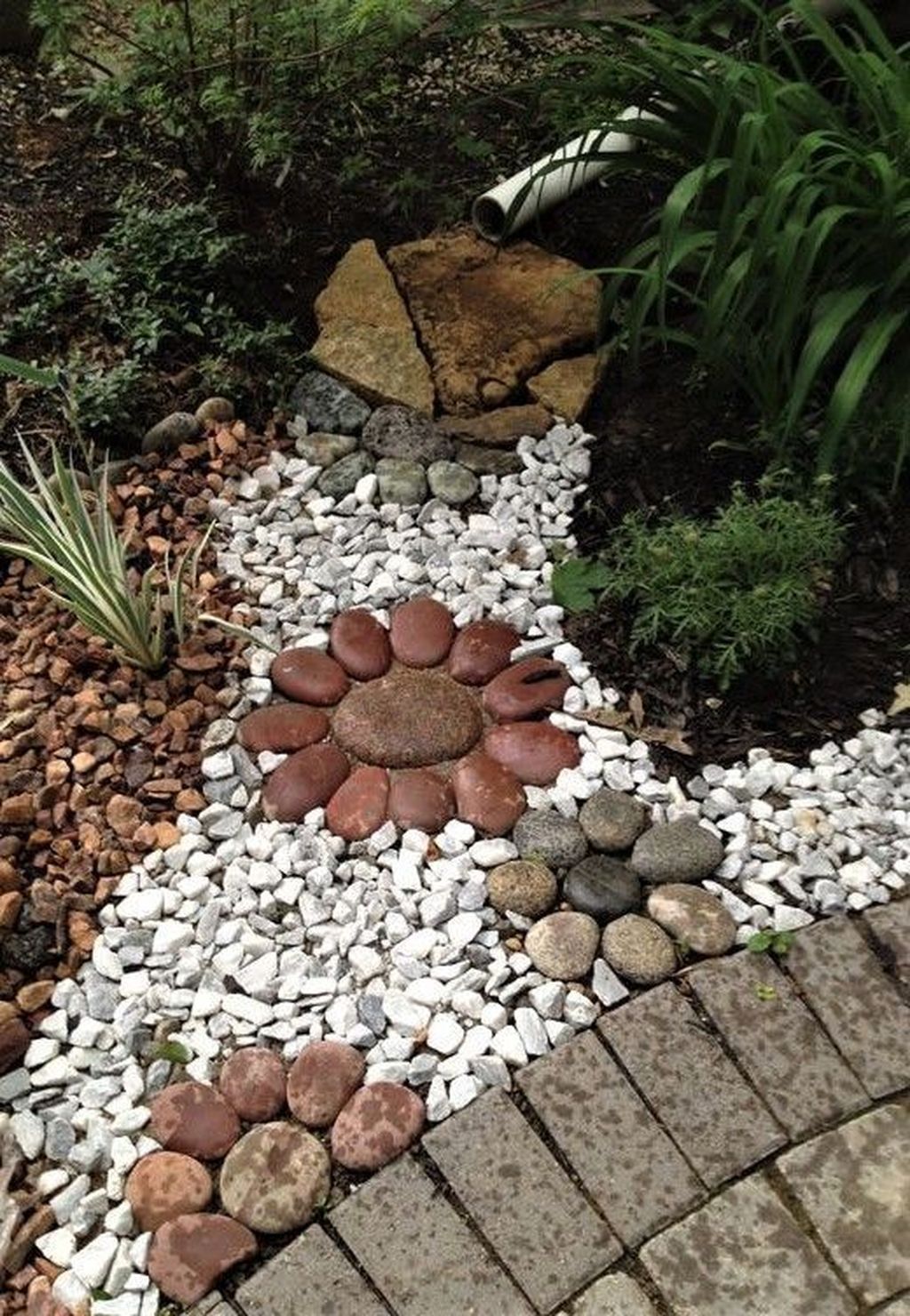 Succulent Rock Garden Designs Black Gold