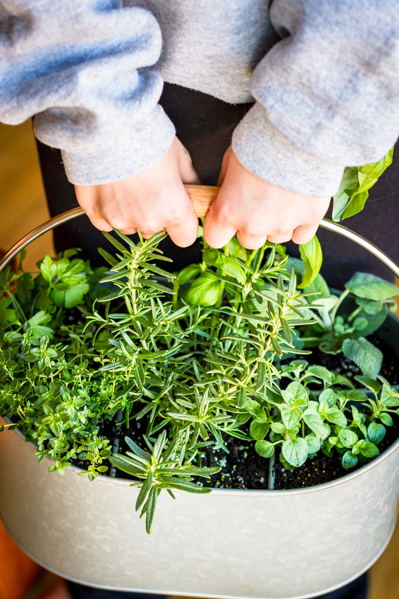 Adorable Diy Container Herb Garden Design Ideas
