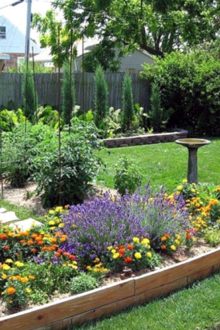Diy Garden Ideas