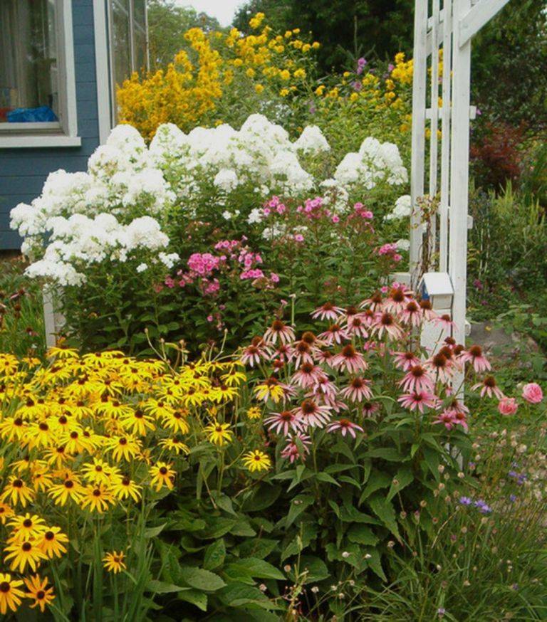 Garden Designs Foundation Shrubs