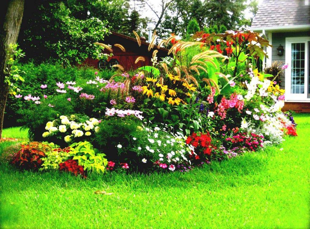 Top Impressive Sun Perennials Front Yard Ideas