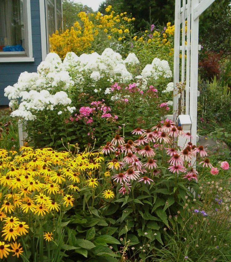 Best Impressive Sun Perennials Front Yard Ideas