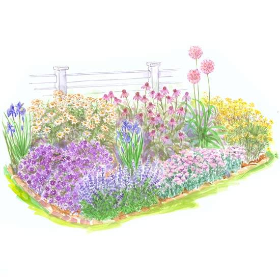 Full Sun Flower Garden Design