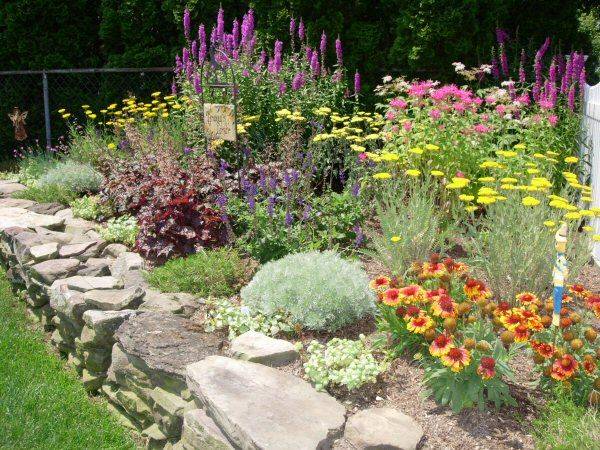 Full Sun Perennial Garden Designs Landscape Design Flowering Shrubs