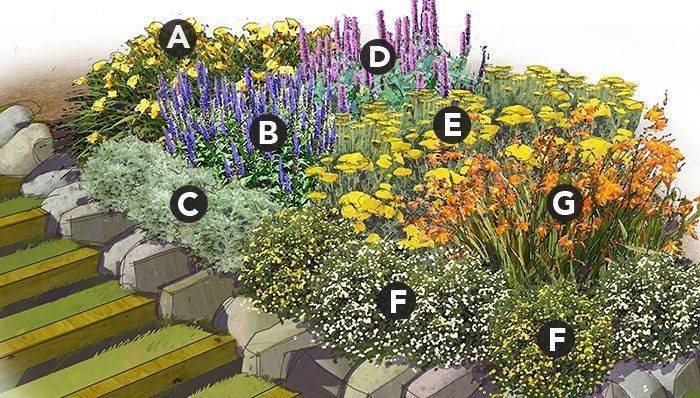 Perennial Gardens Layout