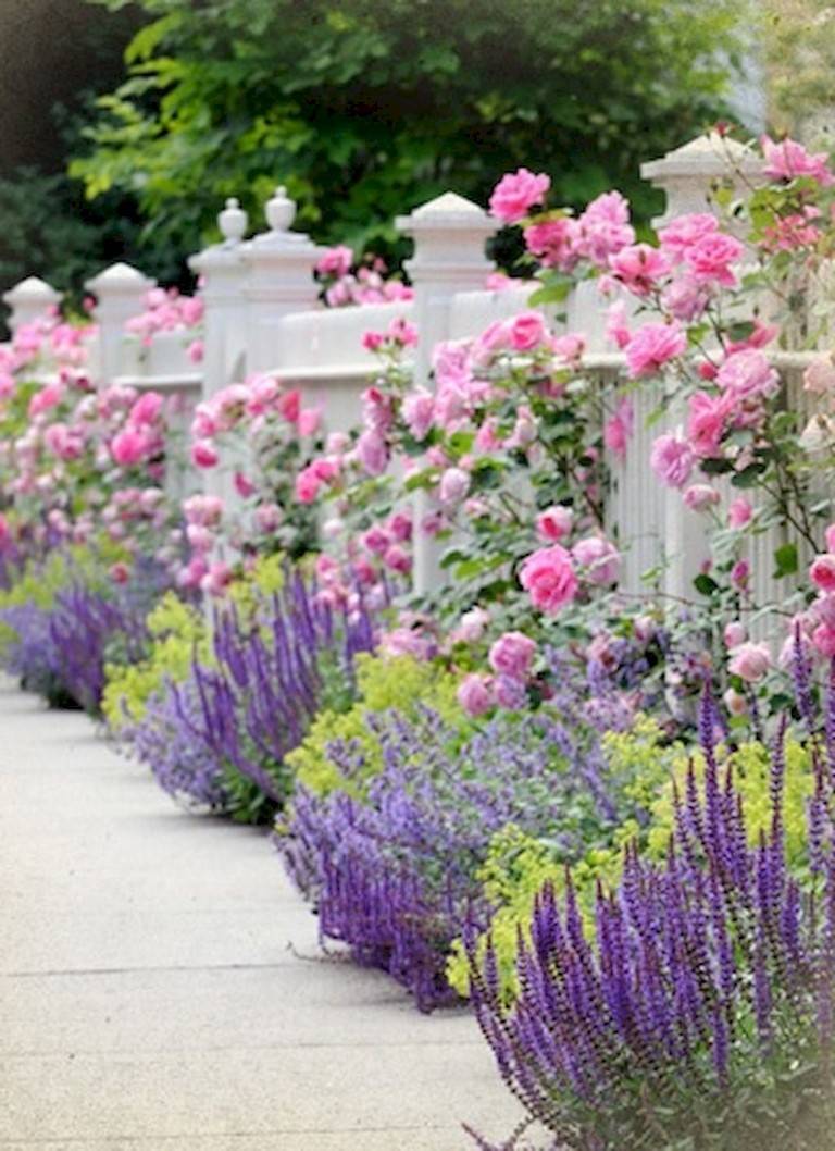 Summer Flower Garden Border Ideas