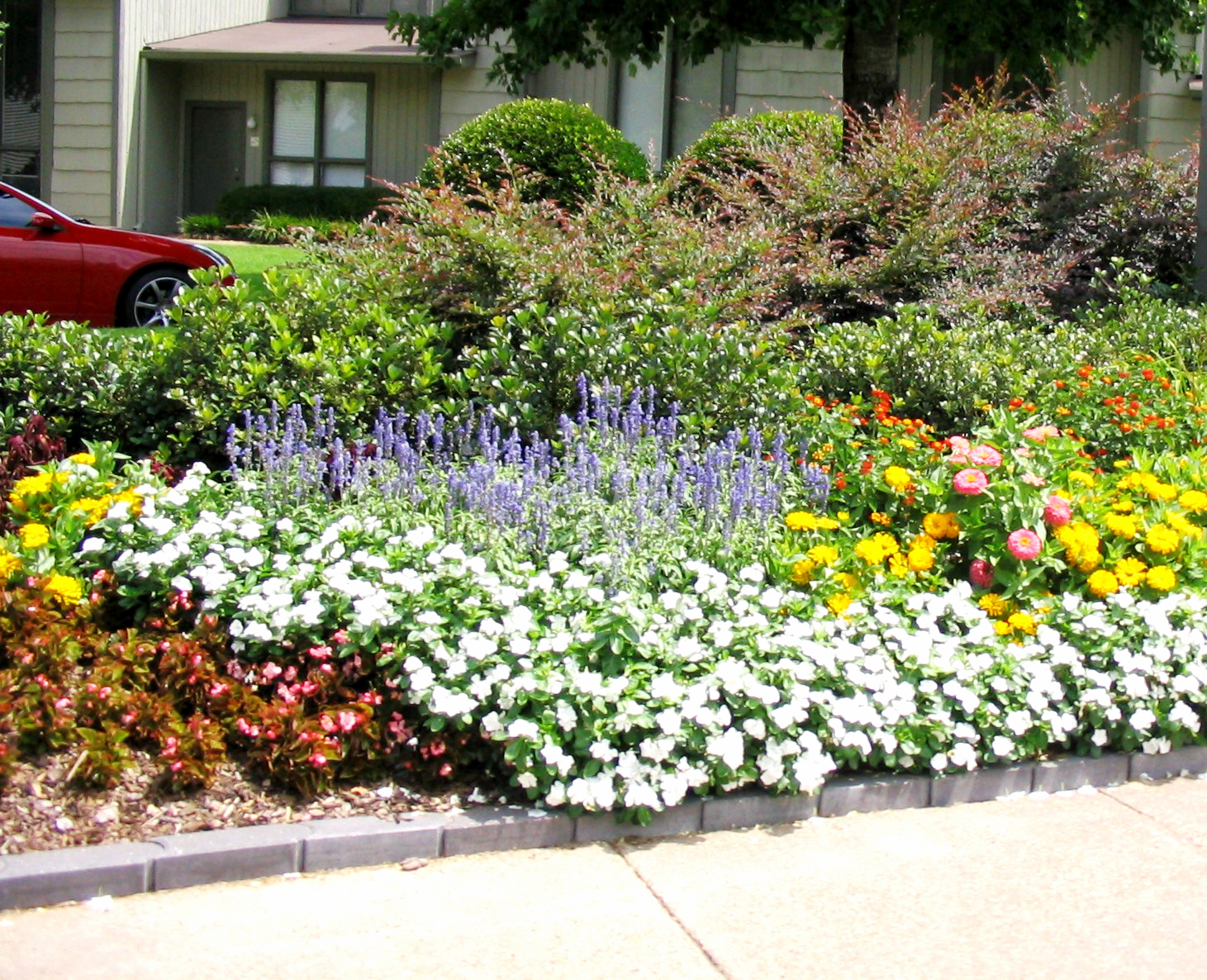 Easycare Garden Ideas