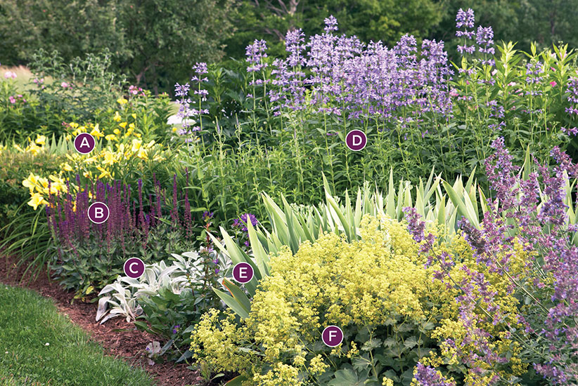 Alaska Flower Bed