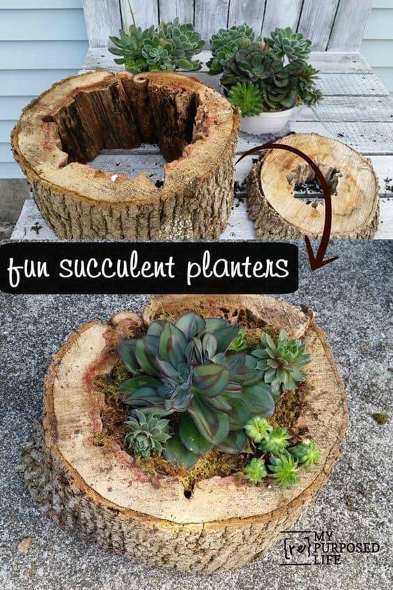 Tree Stump Ideas Wooden Garden