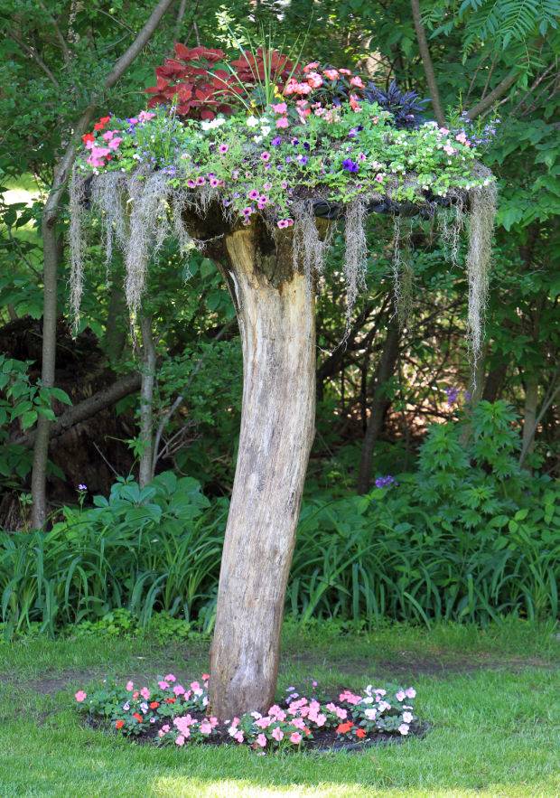 Amazing Tree Stump Ideas