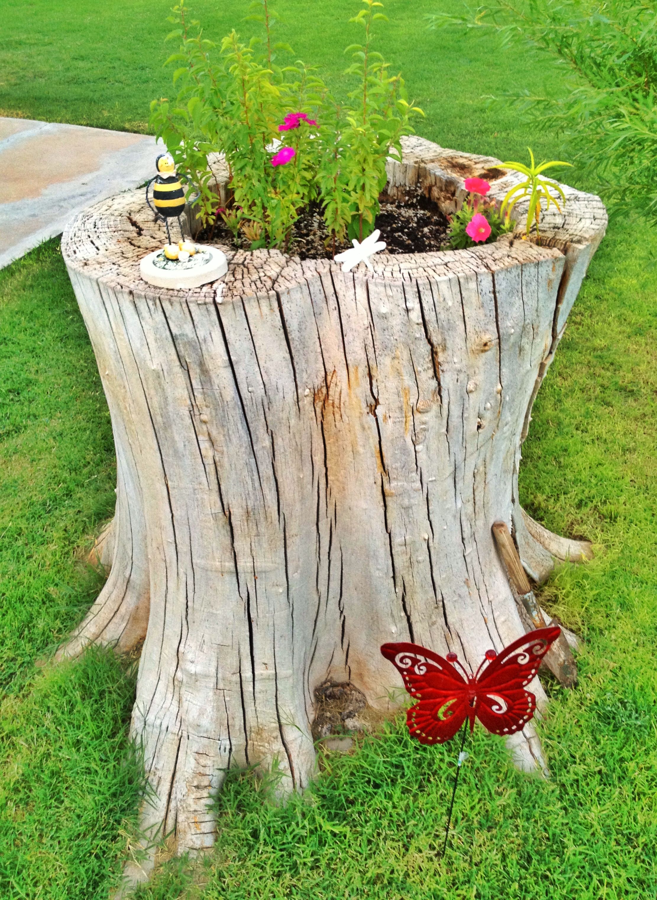 Beautiful Tree Stump Planter Ideas