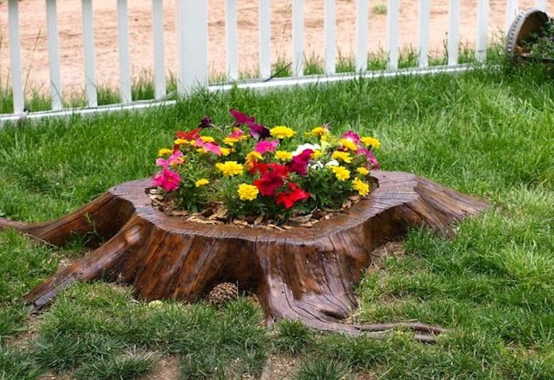 Tree Stump Garden Outdoor