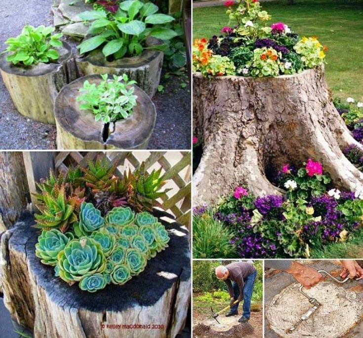 21 Garden with Tree Stumps Ideas You Should Look | SharonSable