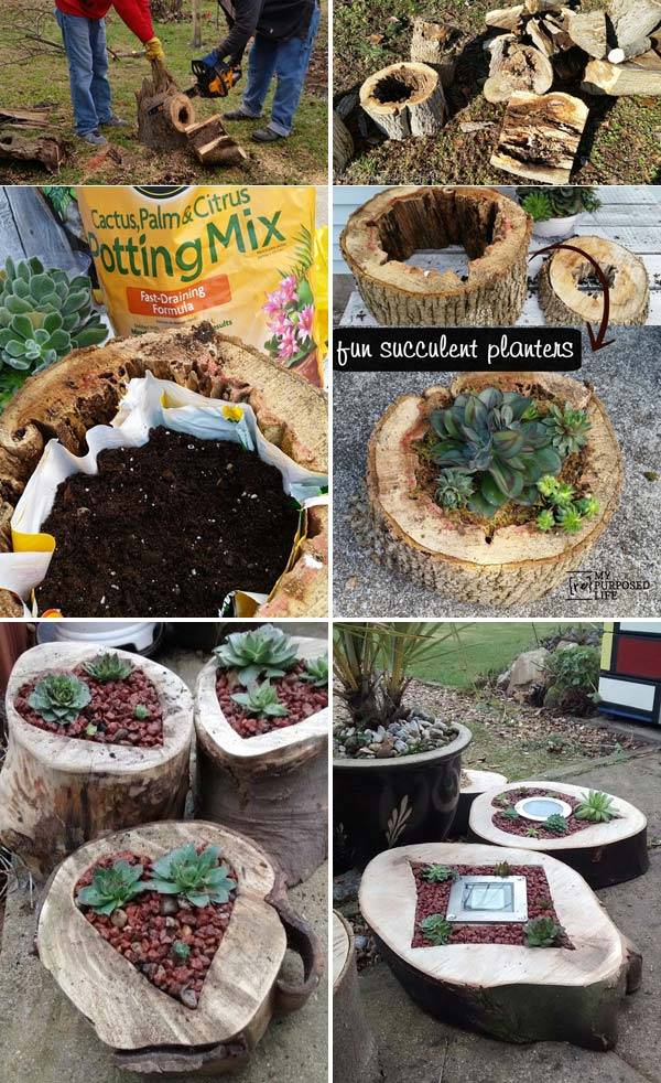 Diy Wood Log Garden Pathways Instructions Raw Wood Logs