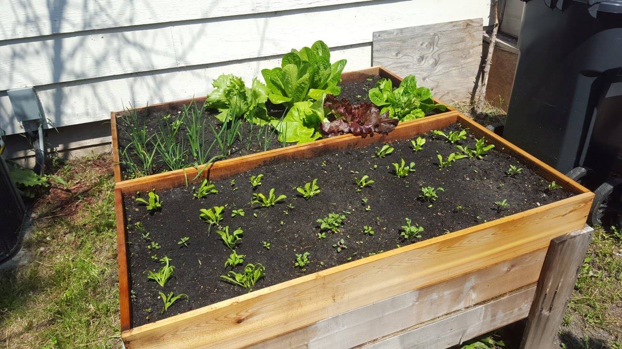 Amazing Diy Raised Bed Gardens A Piece