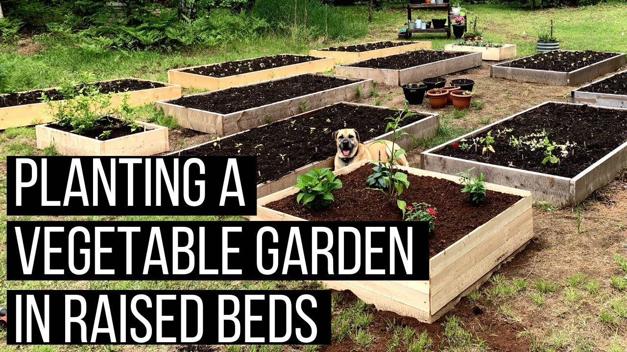 Raised Garden Bed Design Ideas