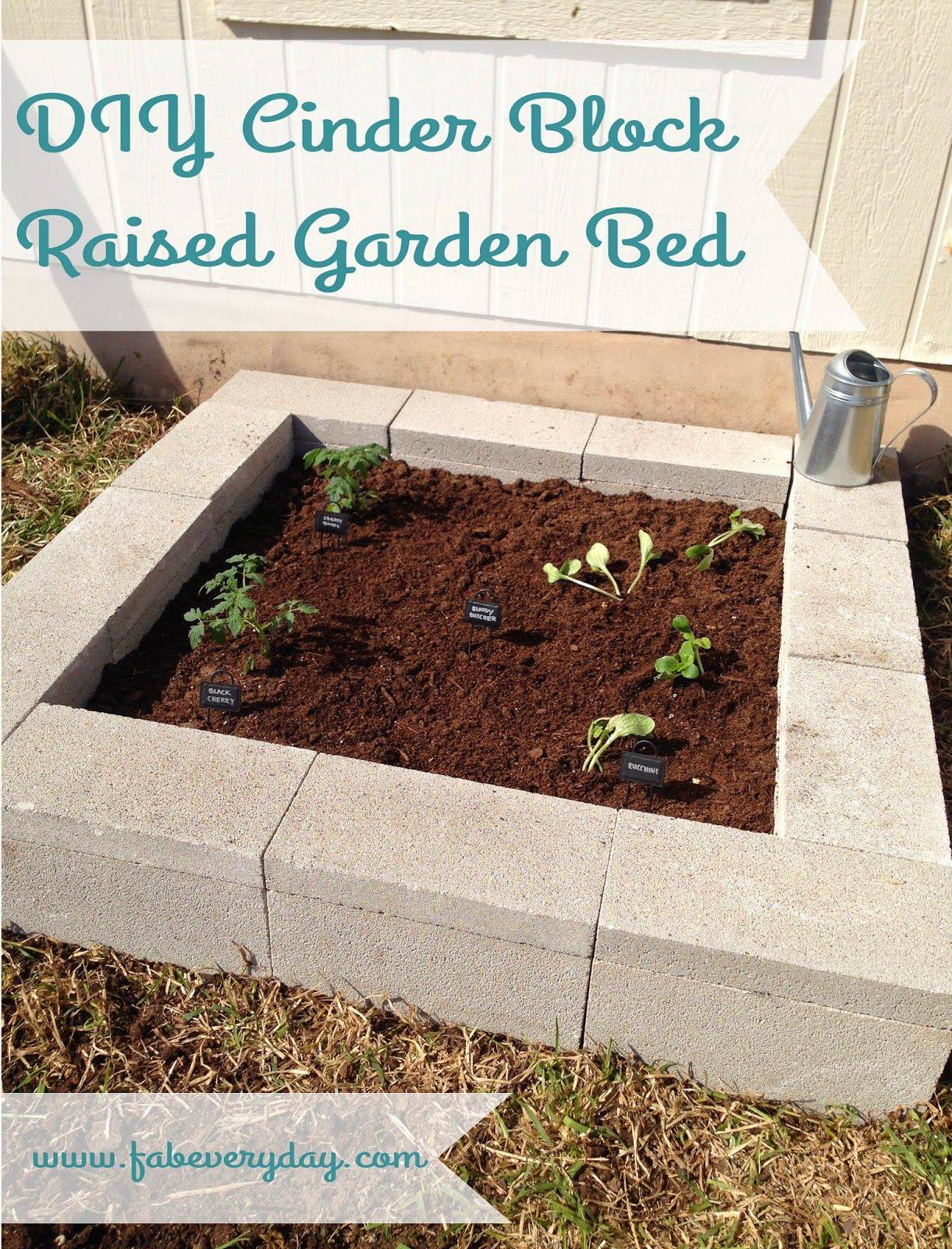 Best Cinder Block Garden Ideas