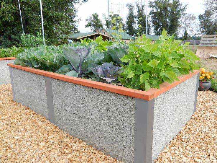 Cinder Block