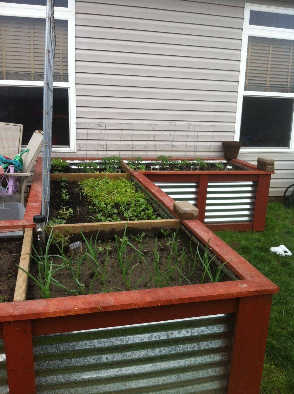 24 Corrugated Raised Garden Beds Ideas Worth to Check SharonSable