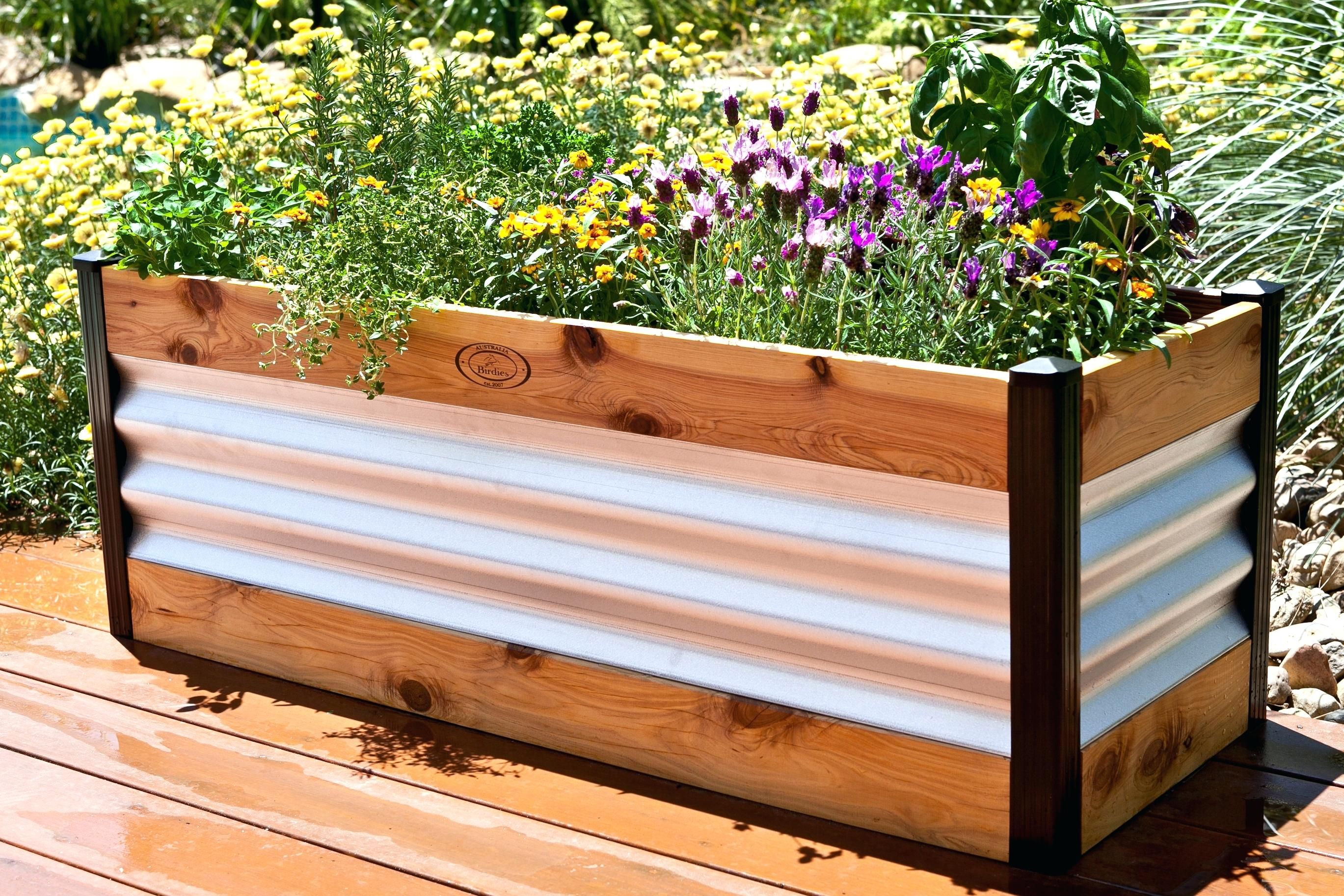 My Corrugated Raised Garden Bed