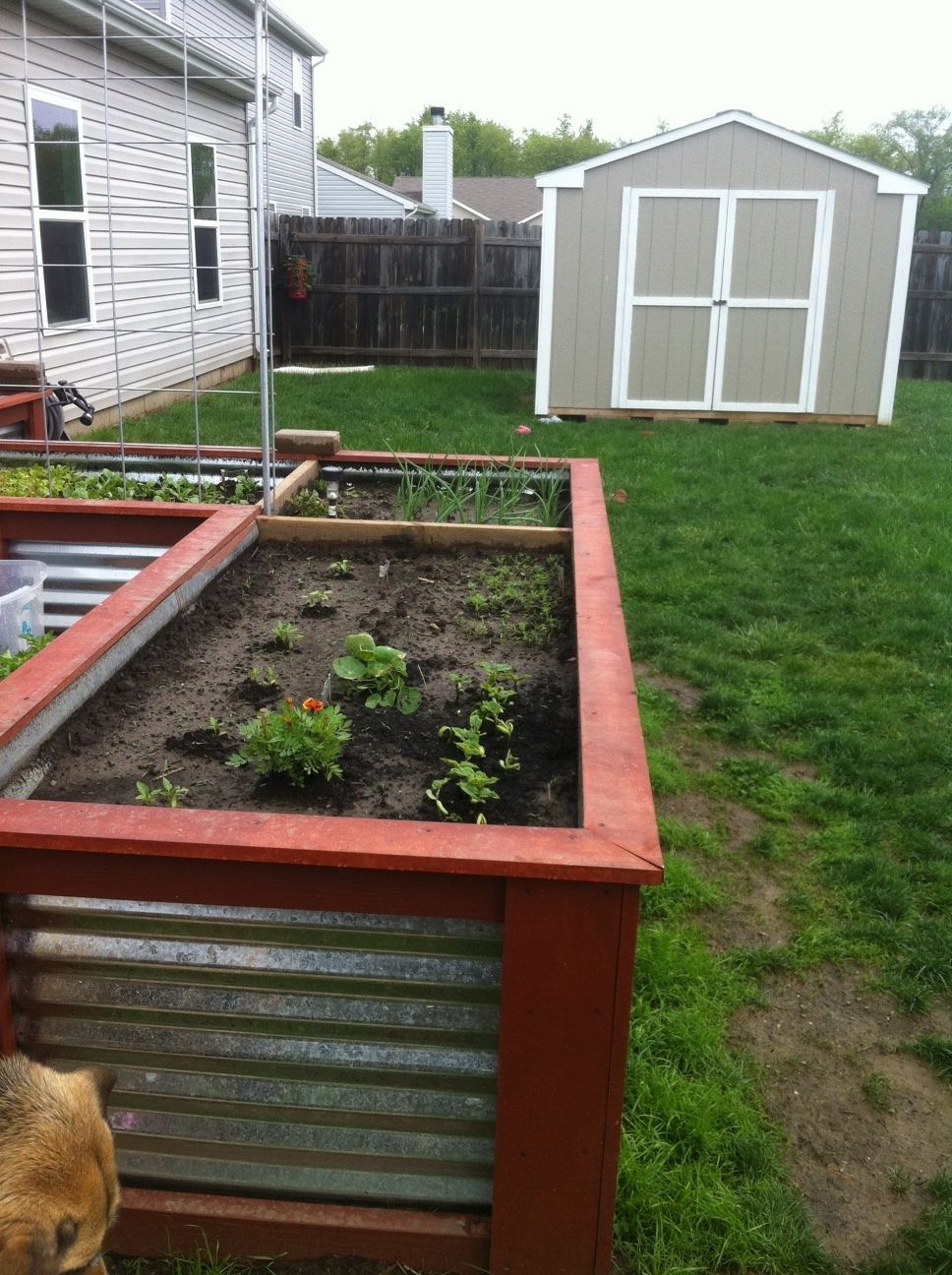 Raised Garden Beds