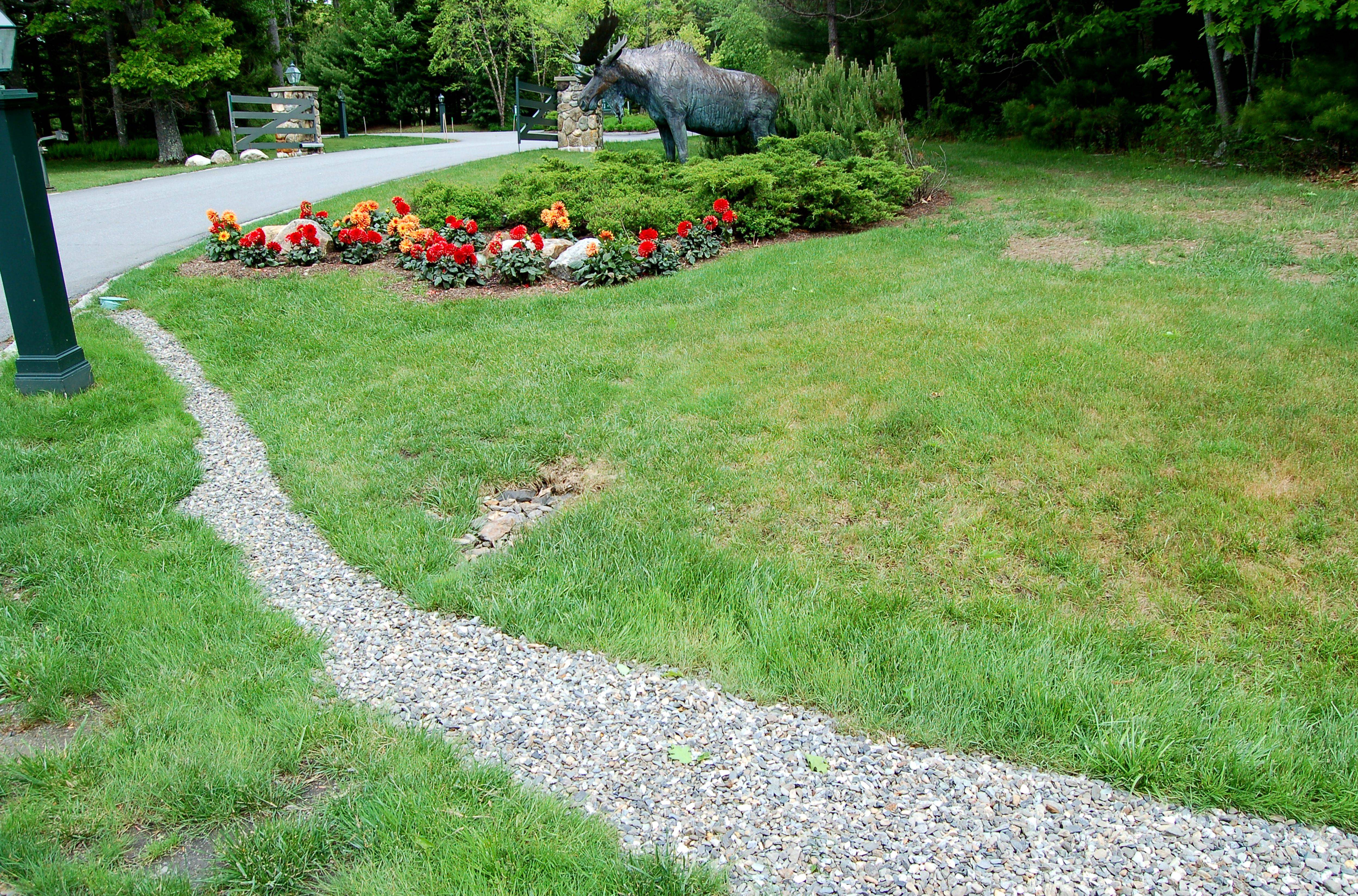 French Drain Backyard Landscaping