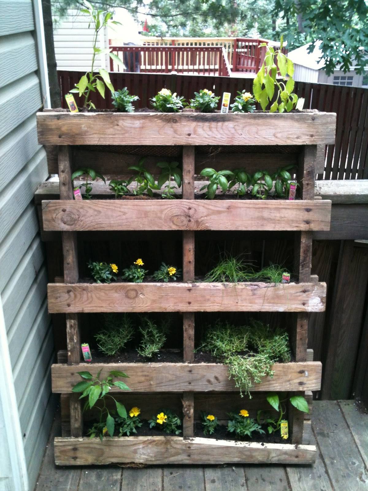Pallet Herb Garden Pallet Furniture Projects