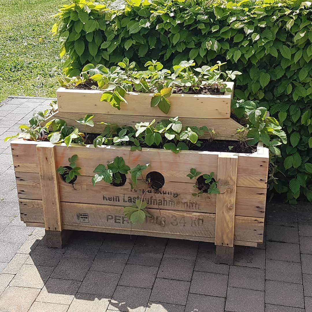 Wonderful Pallet Wood Ideas Pallet Ideas