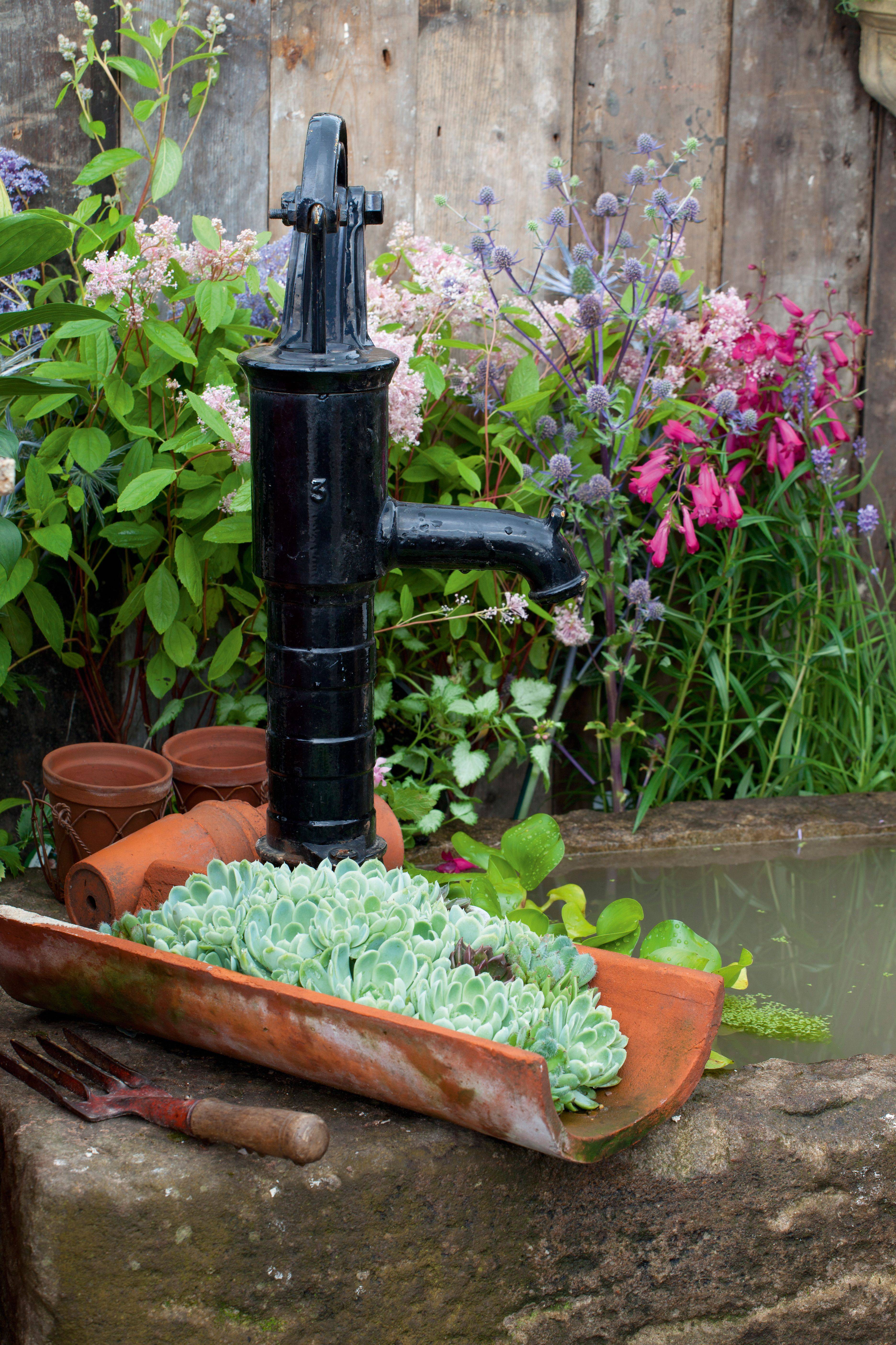 The Perfect Backyard