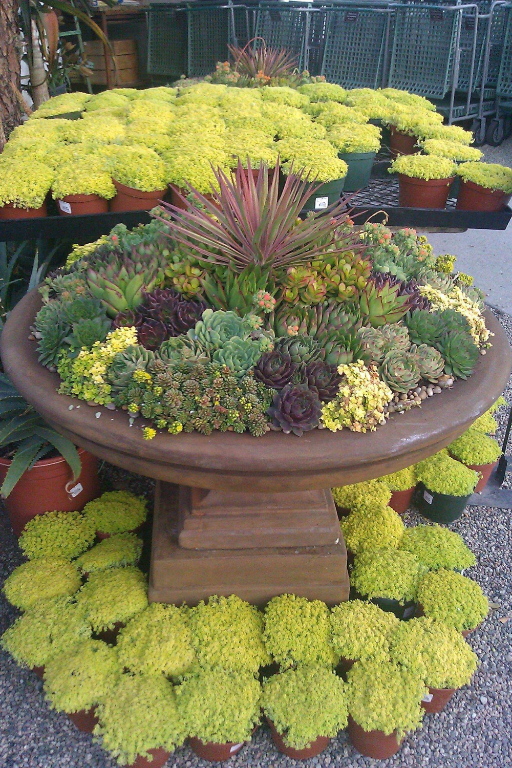 Best Repurposed Garden Container Ideas