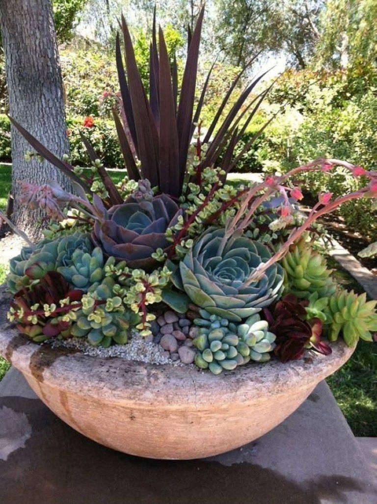 Succulent Container Garden Plans