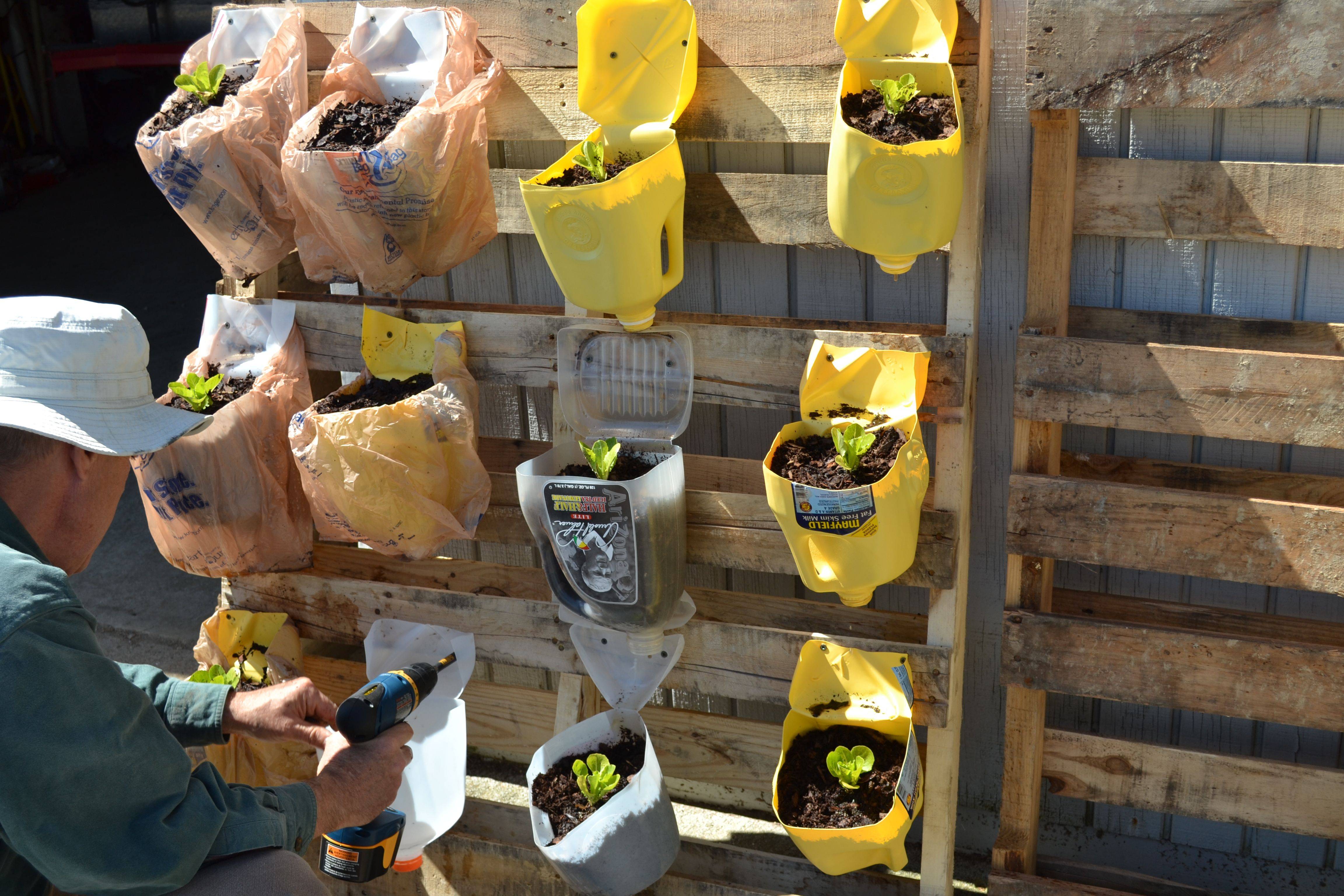 Plastic Milk Containers