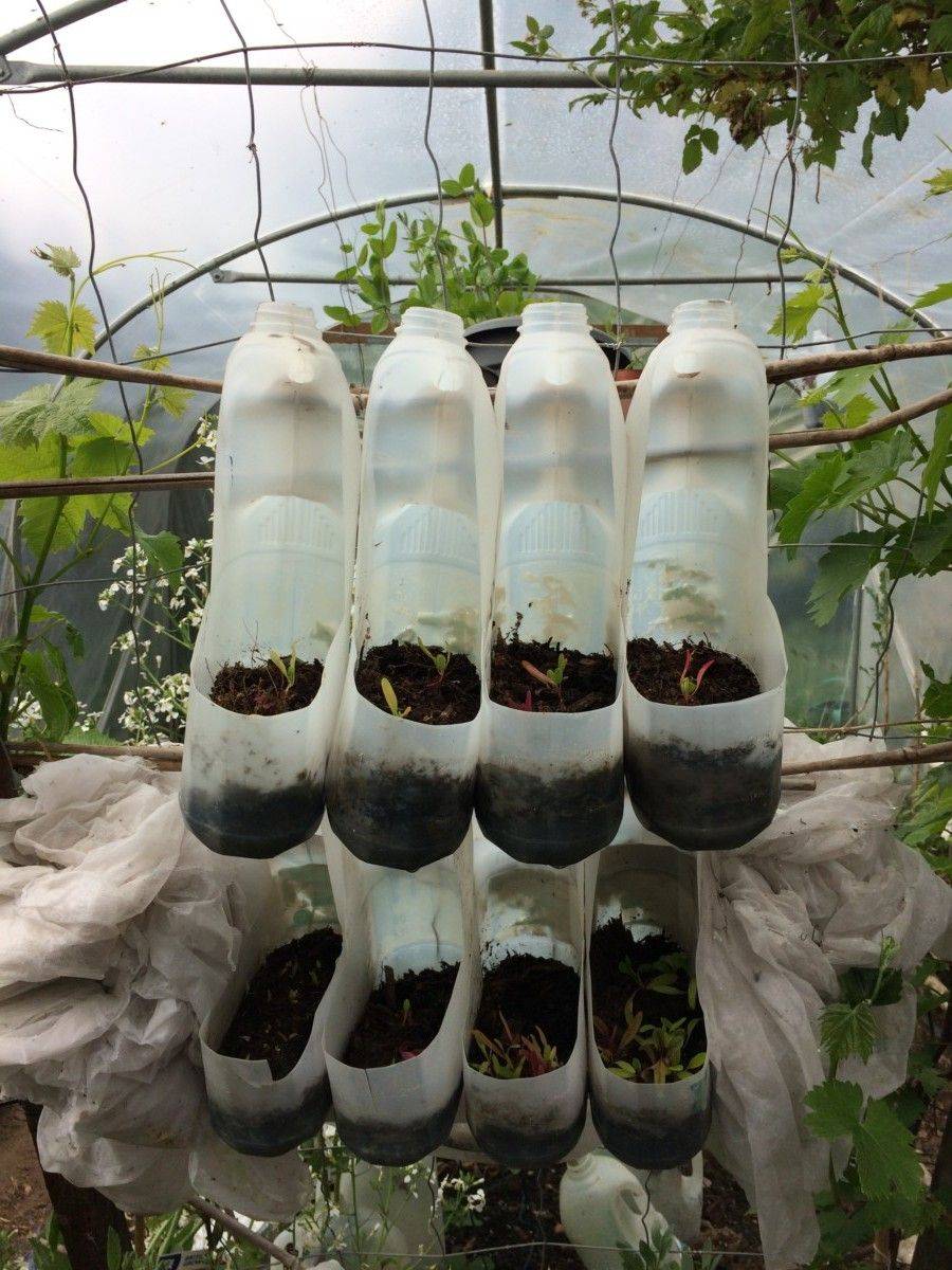 Plastic Milk Bottles