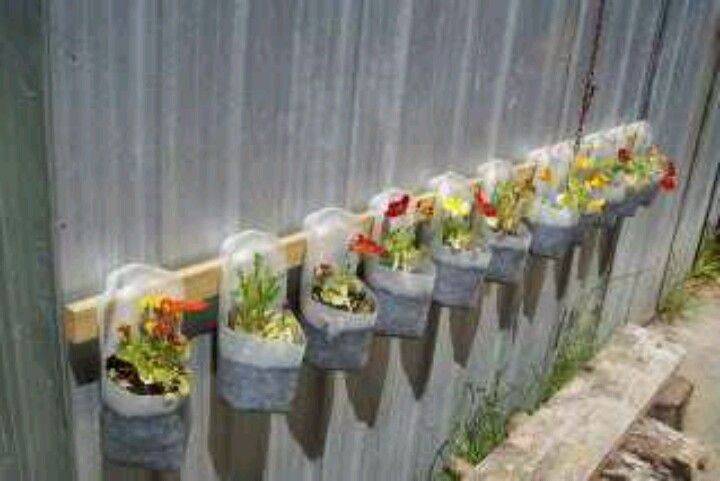 Summer Container Gardening