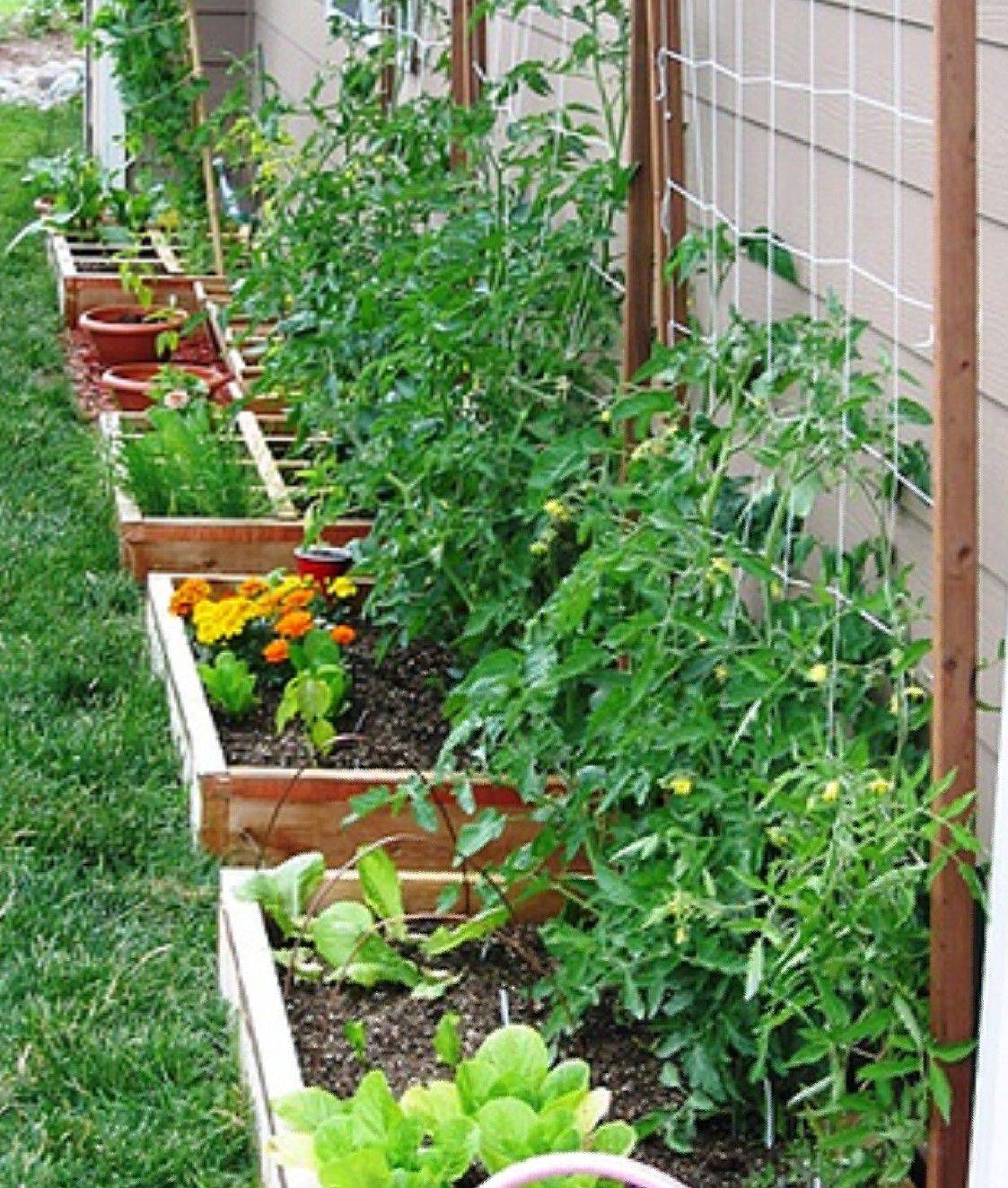Clever Diy Vertical And Container Garden Ideas