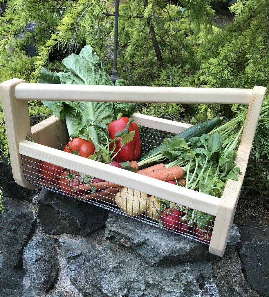 Deer Resistant Container Gardening Gina Michele