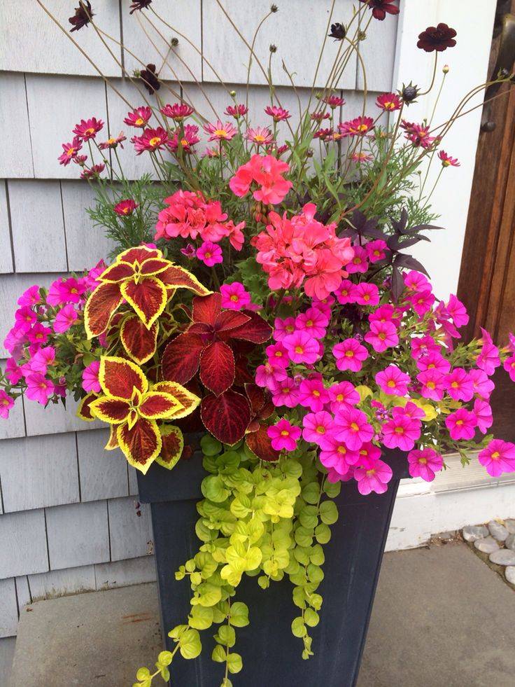 Best Outdoor Hanging Planter Ideas