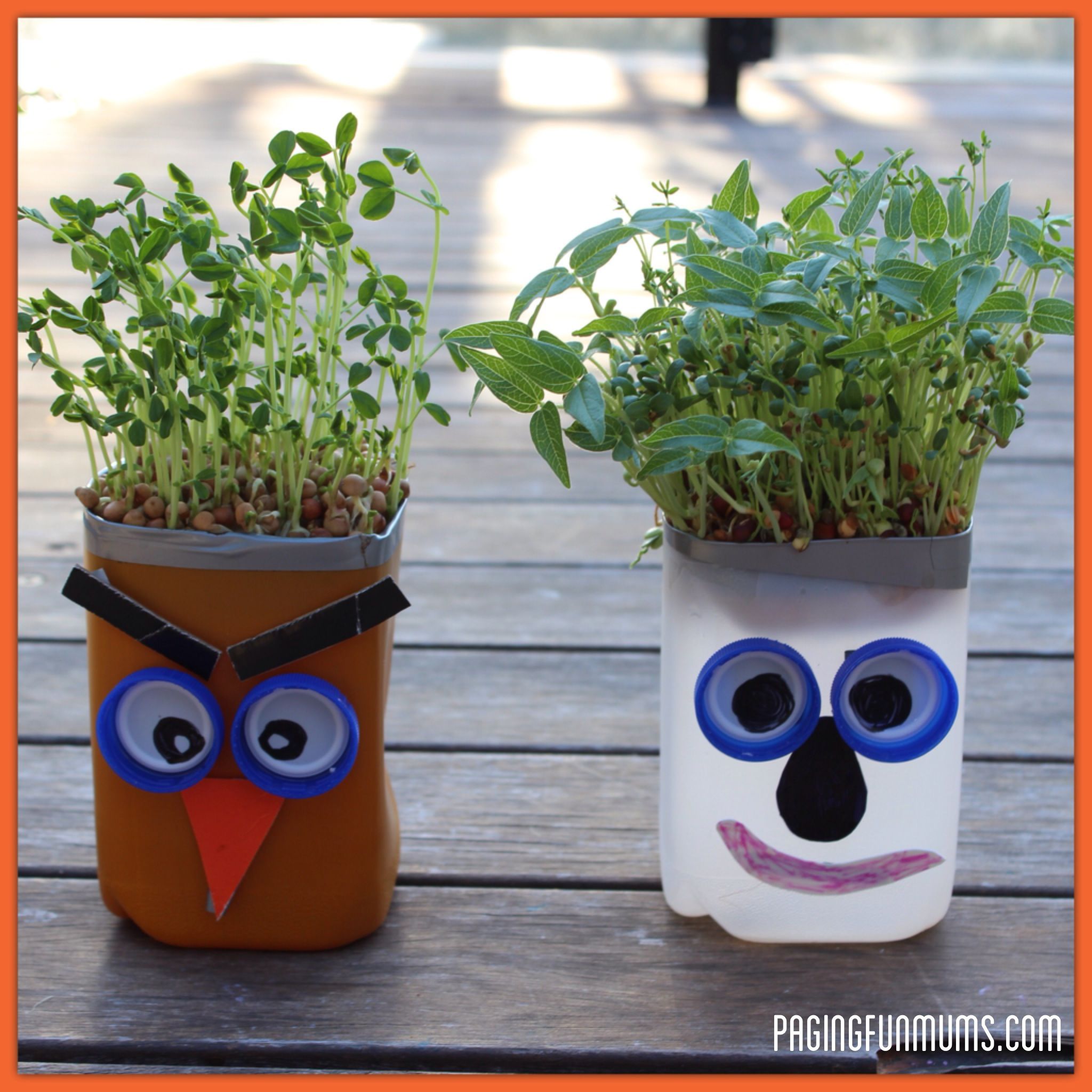 Outdoor Crafts