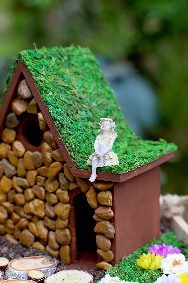 Amazing Fairy Garden Ideas