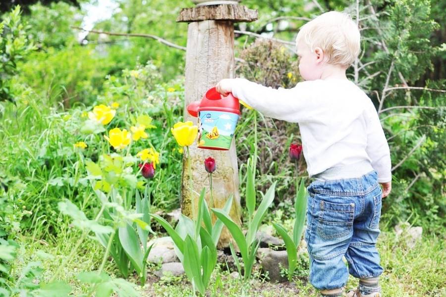 Small Kids Garden Ideas