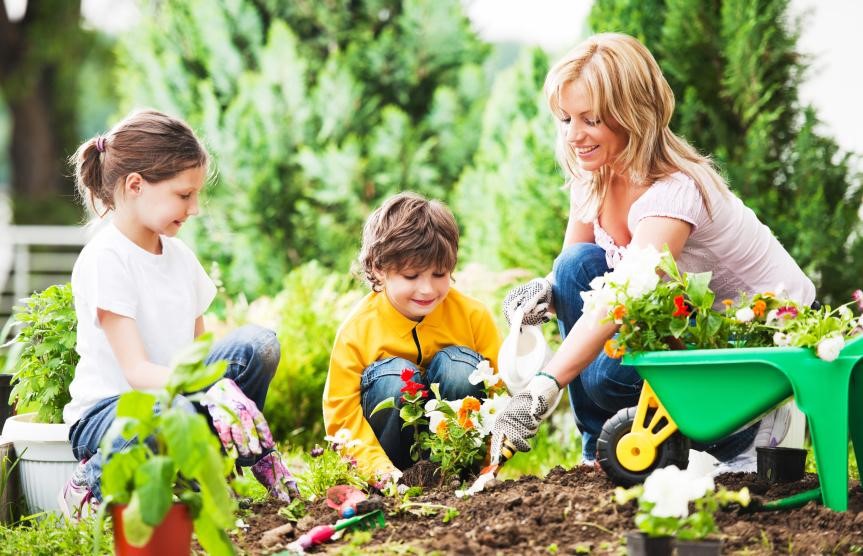 Vegetable Gardens