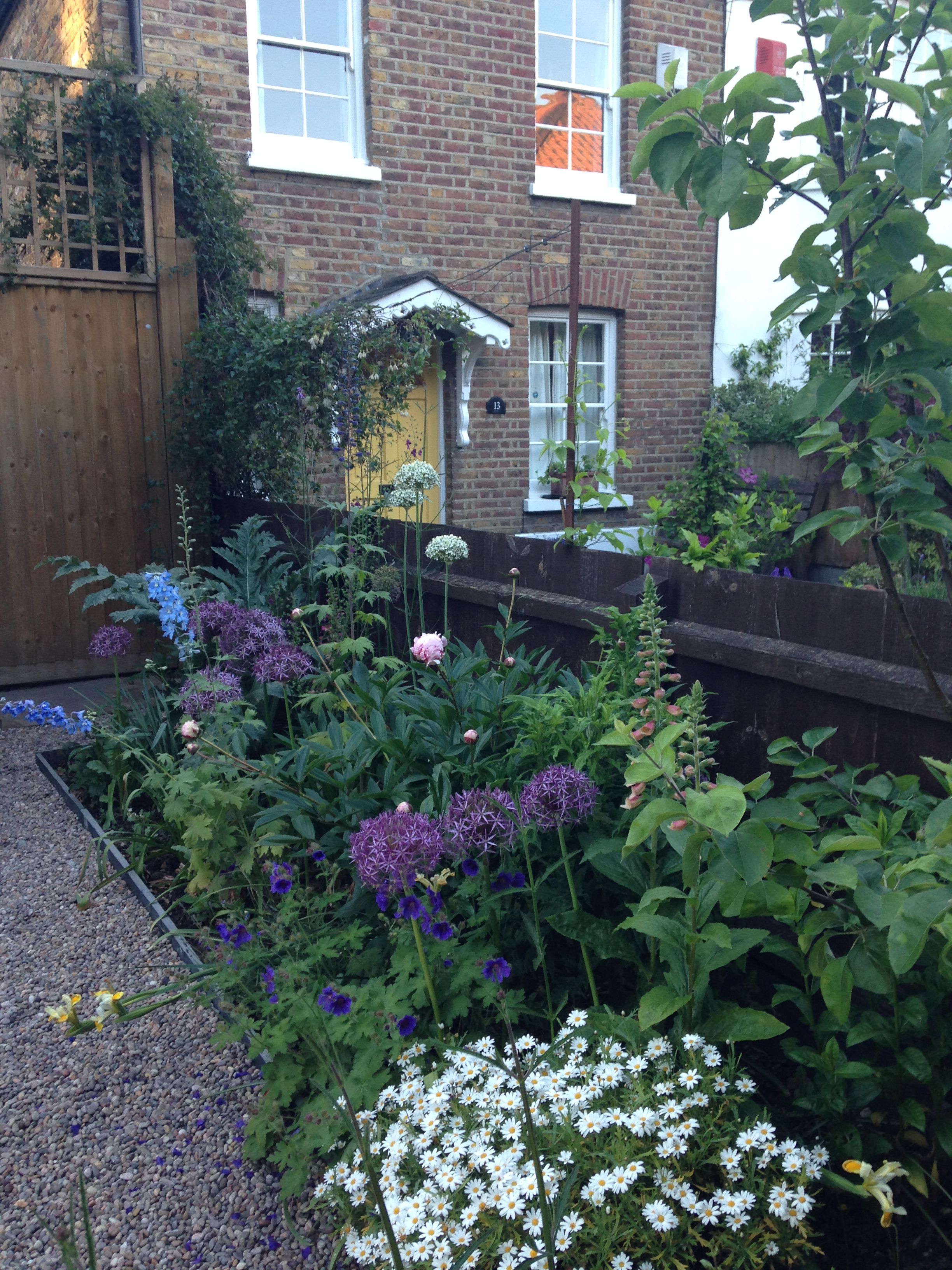 Family Garden In Monkstown Tim Austen Garden Designs