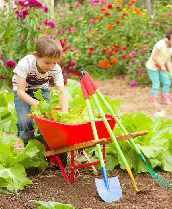 Small Kids Garden Ideas