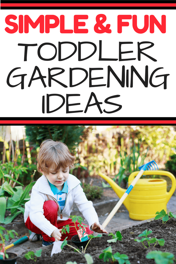 Your Toddler