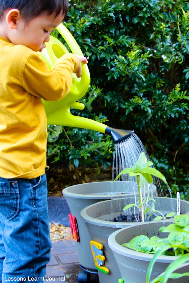 Gardening Activities