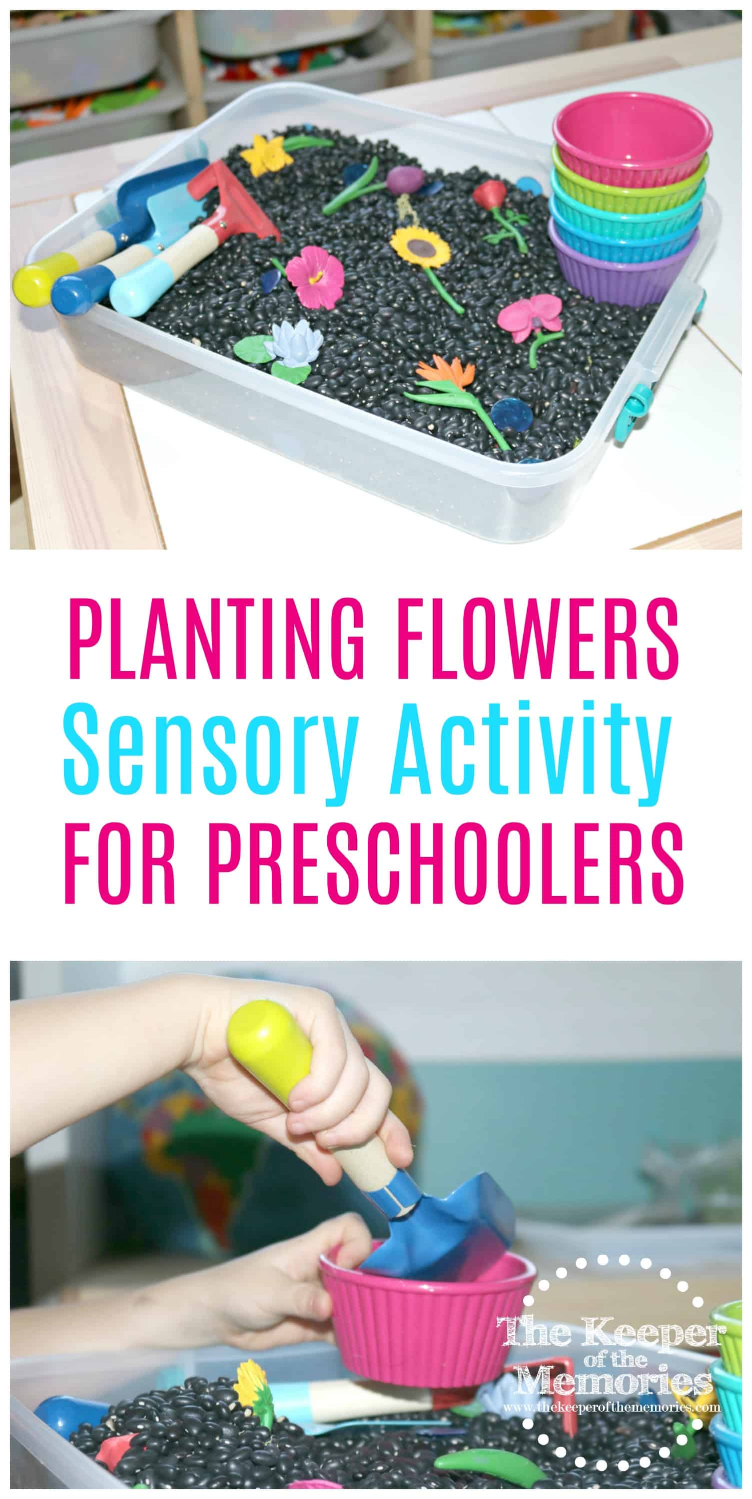 Gardening Activities